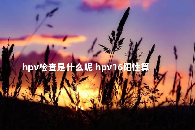 hpv检查是什么呢 hpv16阳性算不算严重